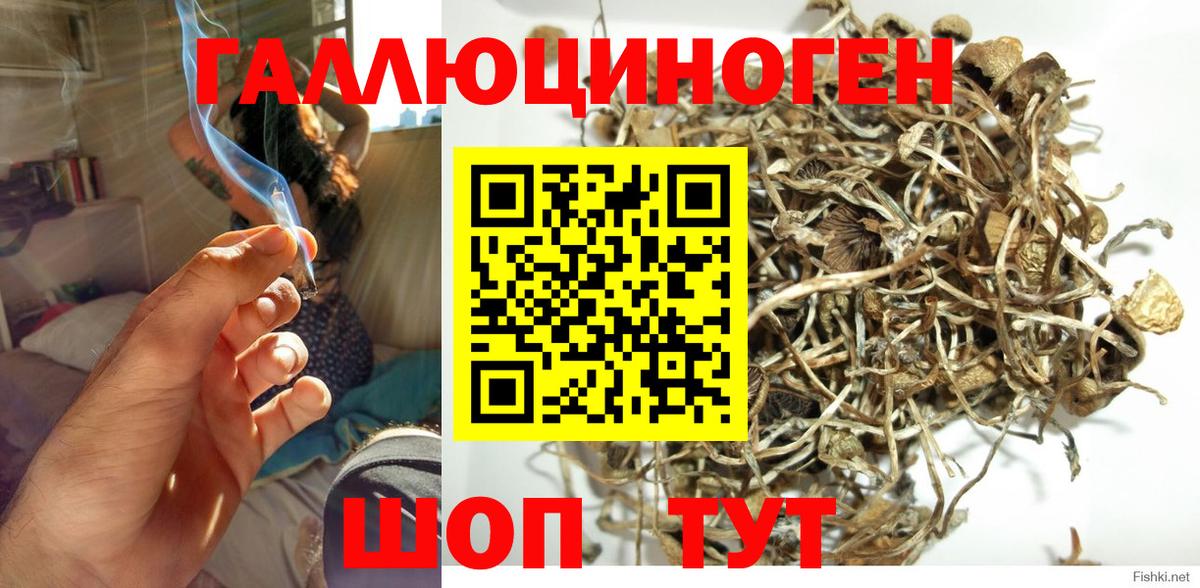 Псилоцибиновые грибы мухоморы Анжеро-Судженск