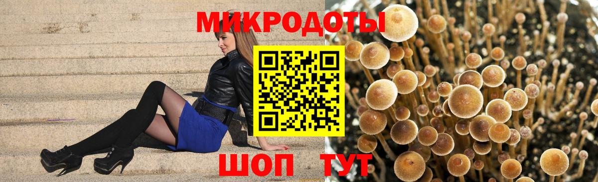 Галлюциногенные грибы GOLDEN TEACHER Анжеро-Судженск